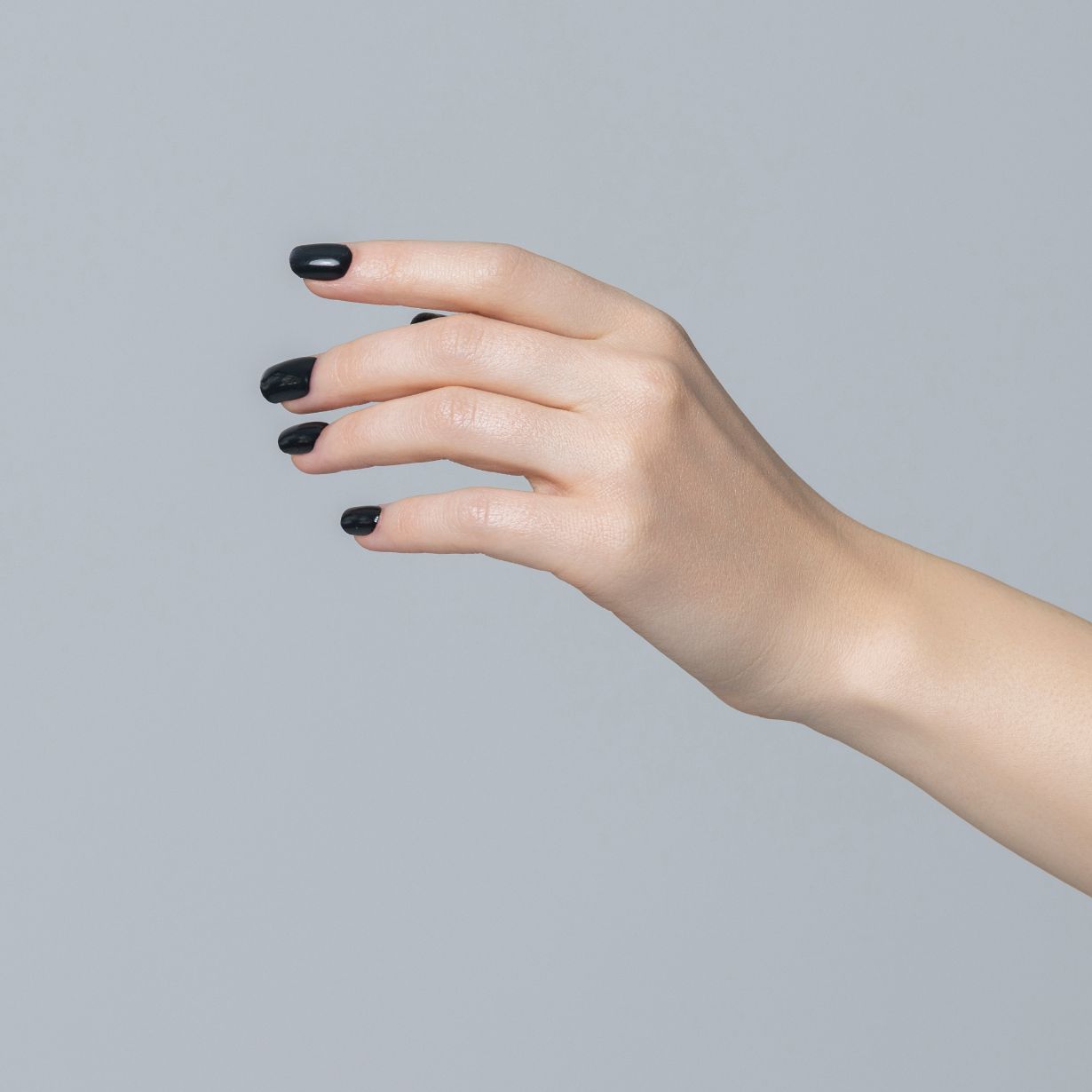 Onyx Noir