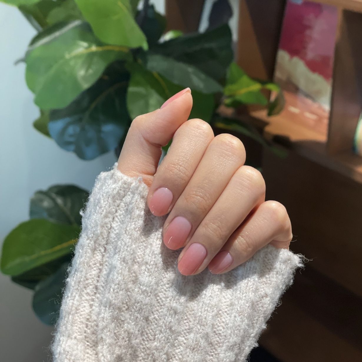 Petal Frost